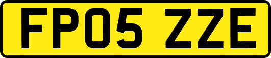 FP05ZZE