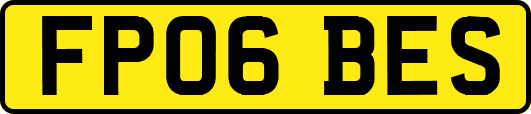 FP06BES