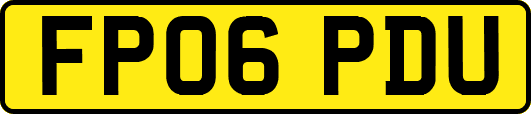 FP06PDU