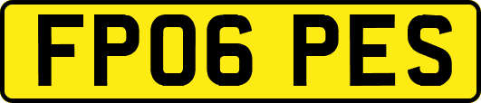 FP06PES