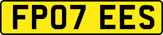 FP07EES