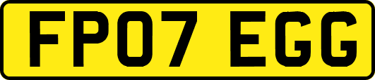 FP07EGG