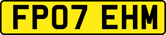 FP07EHM