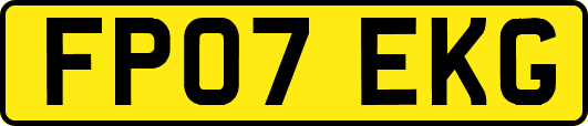 FP07EKG