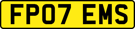 FP07EMS