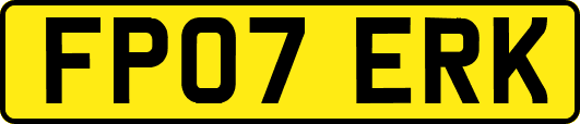 FP07ERK