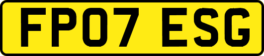FP07ESG