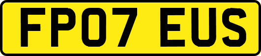 FP07EUS