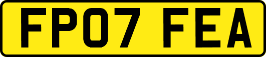 FP07FEA