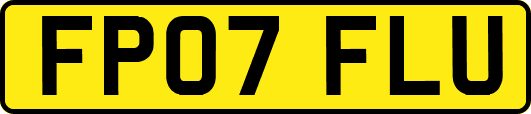 FP07FLU