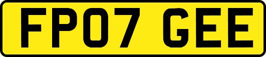 FP07GEE