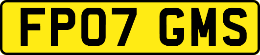 FP07GMS