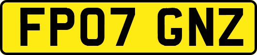 FP07GNZ