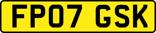 FP07GSK