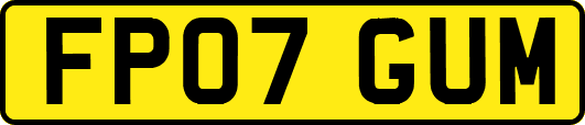 FP07GUM