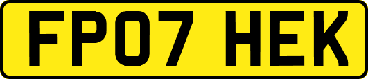 FP07HEK