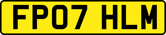 FP07HLM