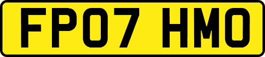 FP07HMO