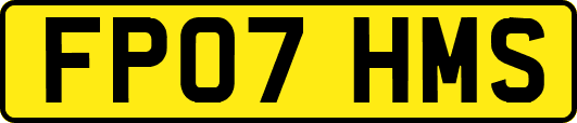 FP07HMS