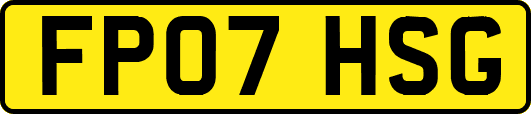 FP07HSG