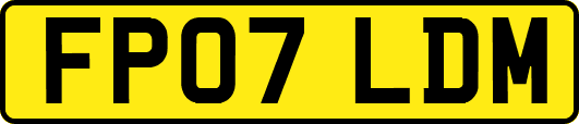 FP07LDM