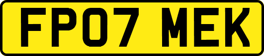 FP07MEK