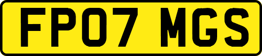 FP07MGS