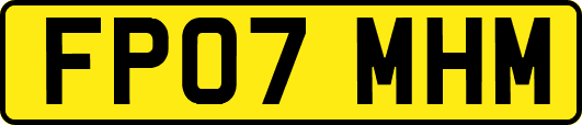 FP07MHM