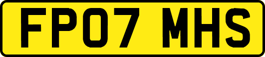 FP07MHS