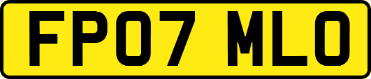 FP07MLO
