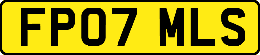 FP07MLS