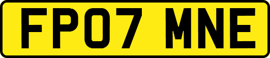 FP07MNE