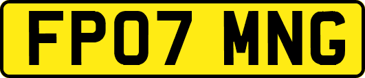 FP07MNG