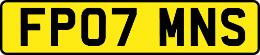 FP07MNS