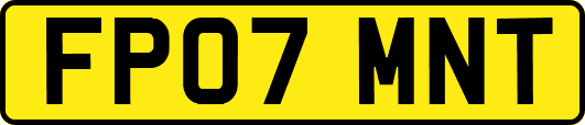 FP07MNT