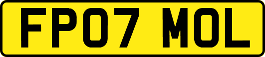 FP07MOL