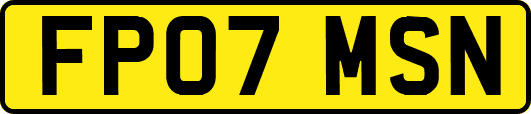 FP07MSN