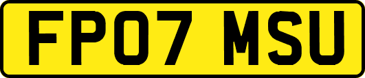FP07MSU