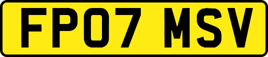 FP07MSV
