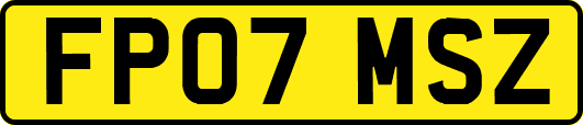 FP07MSZ