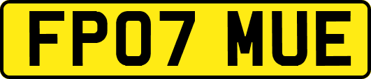 FP07MUE