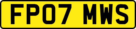 FP07MWS