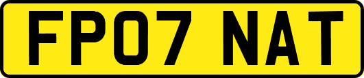 FP07NAT