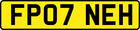 FP07NEH