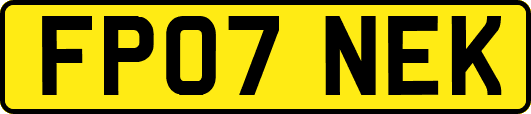 FP07NEK