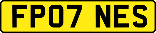 FP07NES