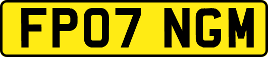 FP07NGM