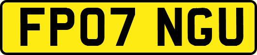 FP07NGU