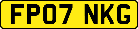 FP07NKG
