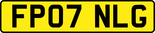 FP07NLG